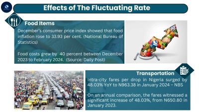 effect of naira volatility